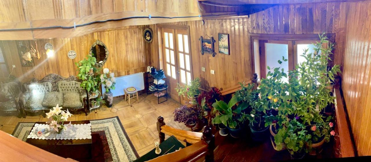 Guesthouse Georgia Sagarejo Εξωτερικό φωτογραφία