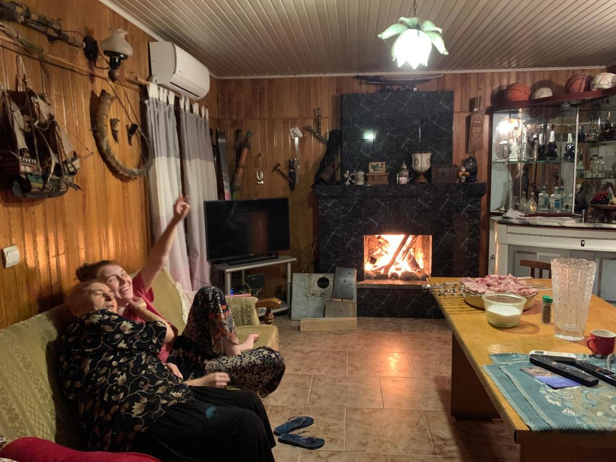 Guesthouse Georgia Sagarejo Εξωτερικό φωτογραφία