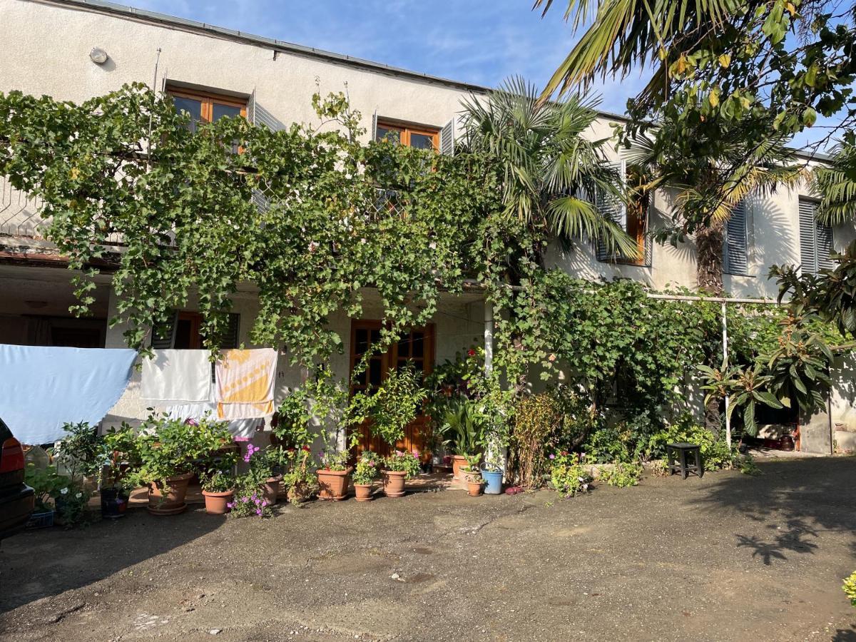 Guesthouse Georgia Sagarejo Εξωτερικό φωτογραφία