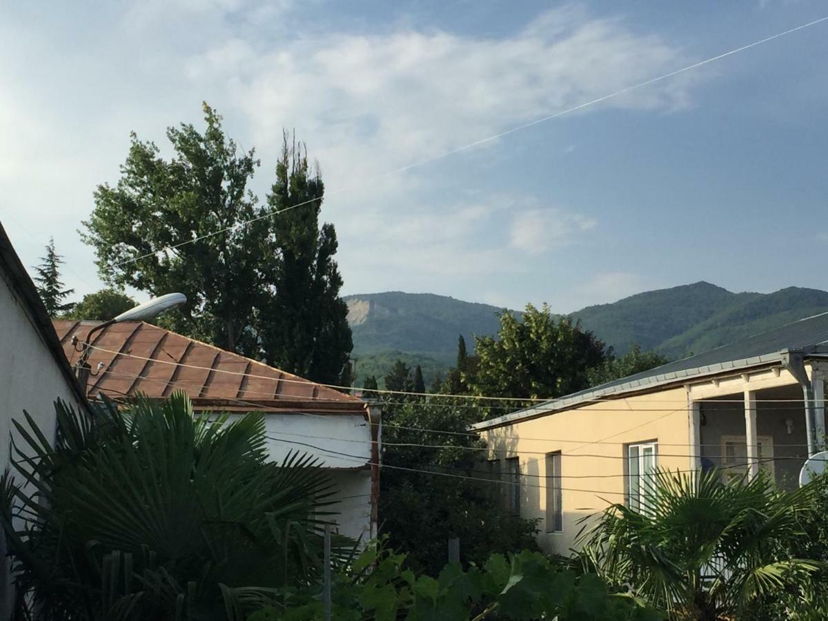 Guesthouse Georgia Sagarejo Εξωτερικό φωτογραφία