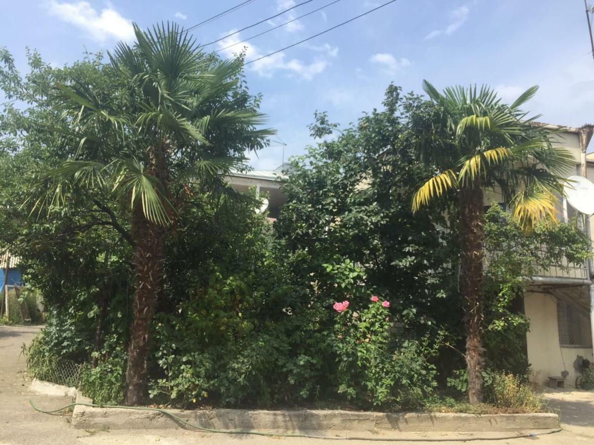 Guesthouse Georgia Sagarejo Εξωτερικό φωτογραφία